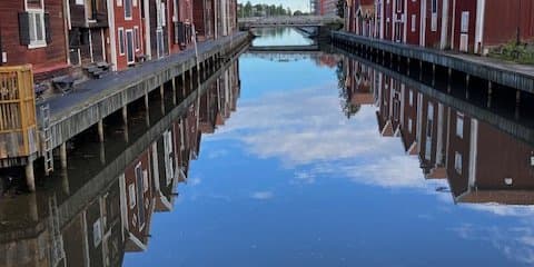 IMG_3559